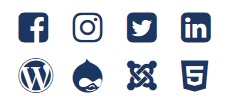 Web domain, CMS and social media icons